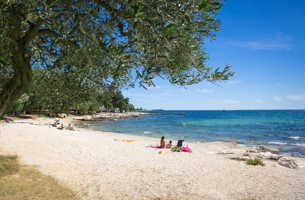 Maistra Select Rubin Pribjeći 3*